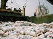 Xuất khẩu gạo giảm vì dự báo sai thị trường?